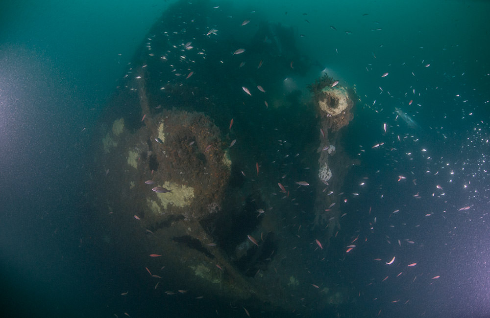 Fantail stern with deck gun visible at the San Delfino wreck site